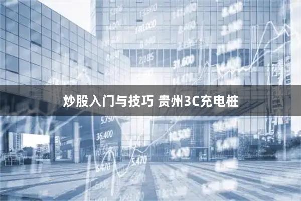 炒股入门与技巧 贵州3C充电桩